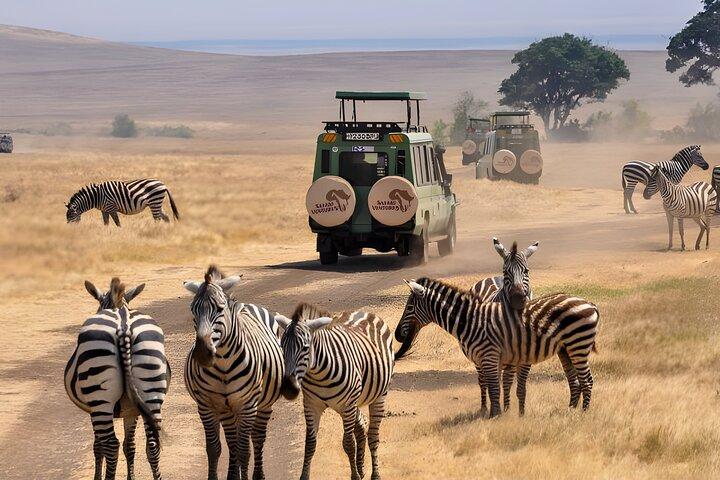 Safari & Spa Experience Johannesburg