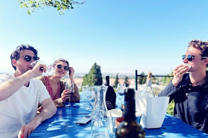 Tour del vino di Arrábida di un giorno intero per piccoli gruppi e degustazione di cibo