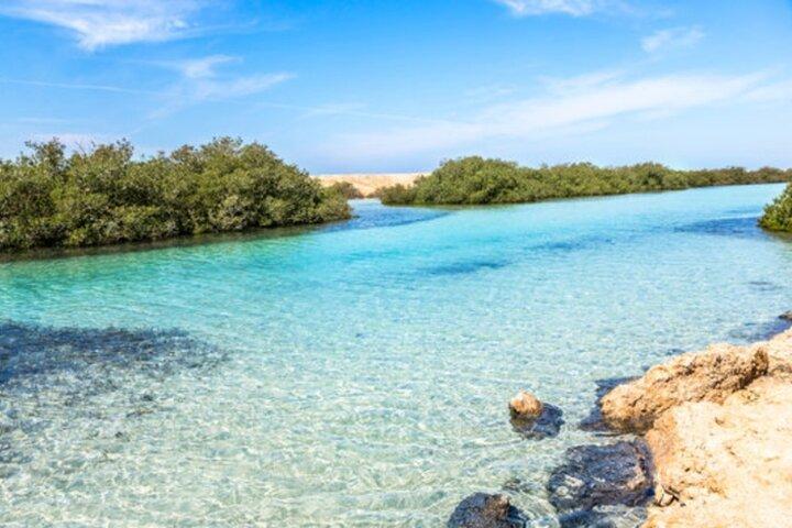 Tour di snorkeling del Parco Nazionale Ras Mohamed da Sharm El Sheikh