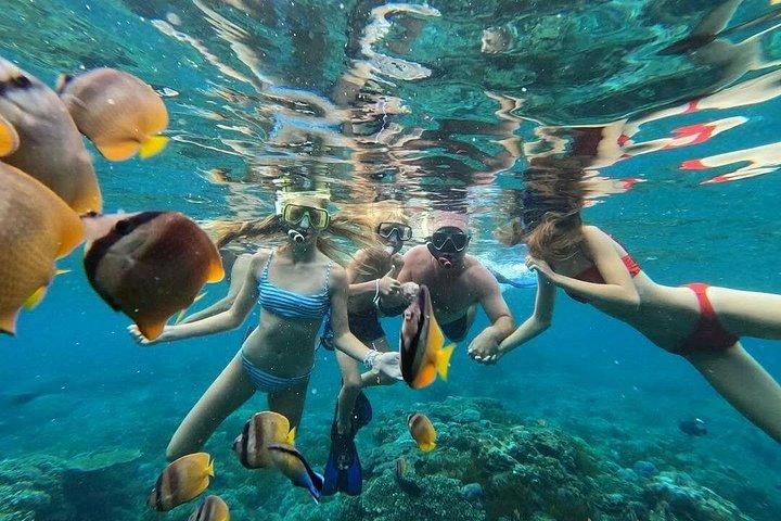 ヌサペニダ島オールインクルーシブ日帰り旅行