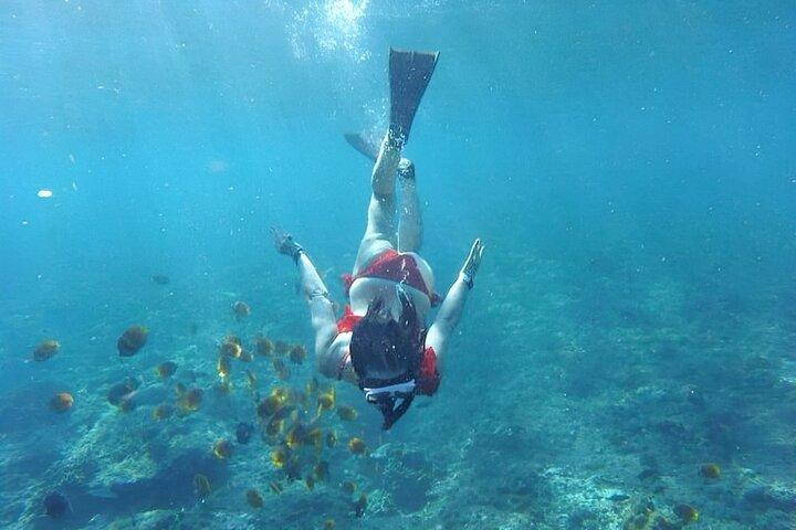 ヌサペニダ島オールインクルーシブ日帰り旅行