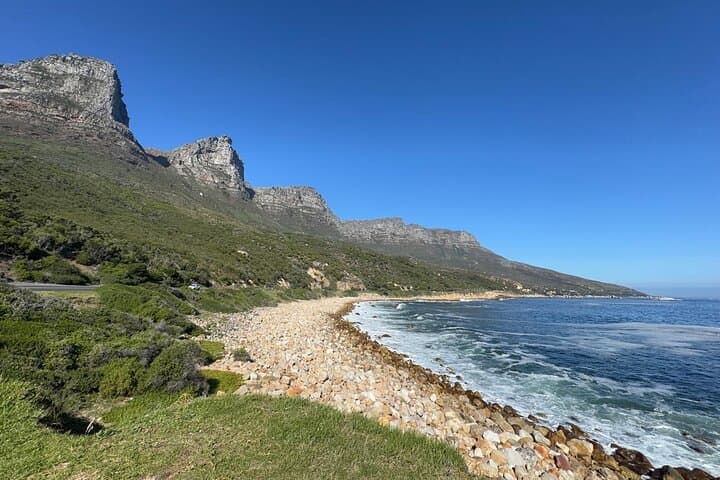 Private Cape Peninsula Day Tour - Lux Electric Vehicle / 7 seater