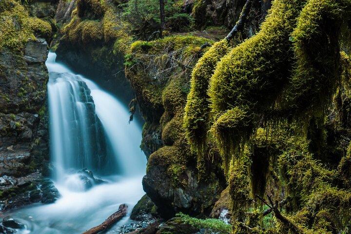 Turnagain Arm Highlights Photo Tour
