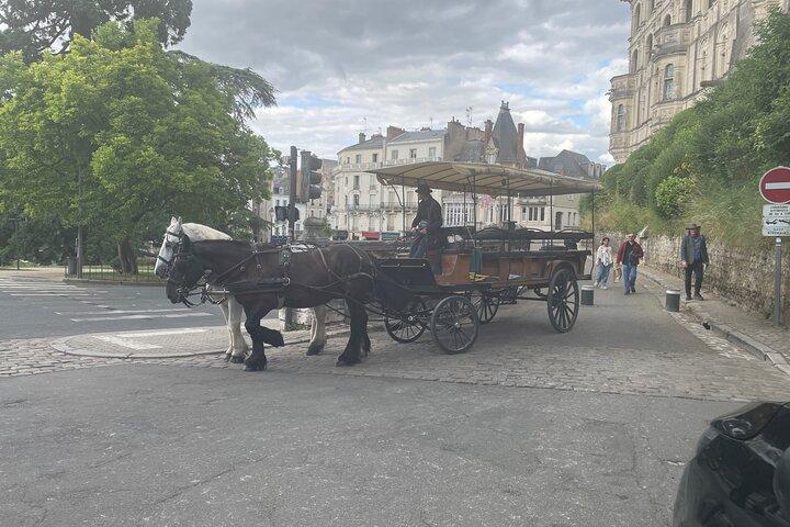 Dagstur til Loire slotte – privat & tilpasses fra Paris
