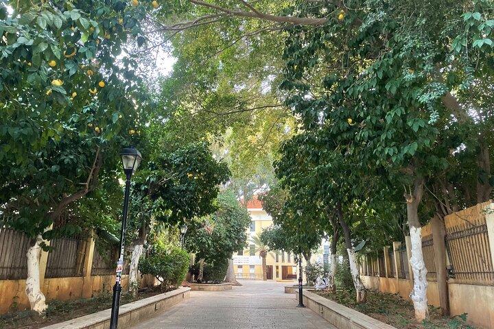 Tel Aviv: Highlights der Central Tel Aviv Walking Tour