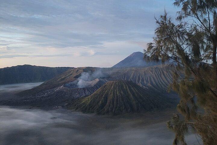 Excursión privada de 1 día a Mount Bromo Sunrise desde Surabaya