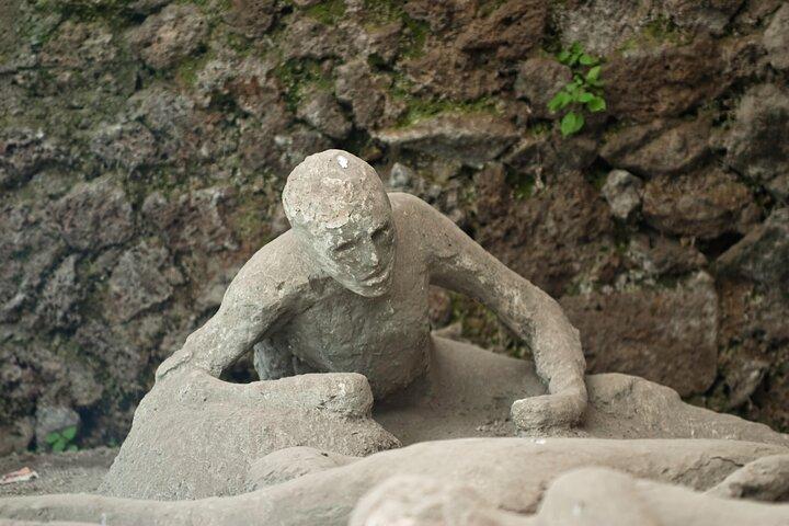 Desde Nápoles : Excursión en tierra a Pompeya para cruceros con guía