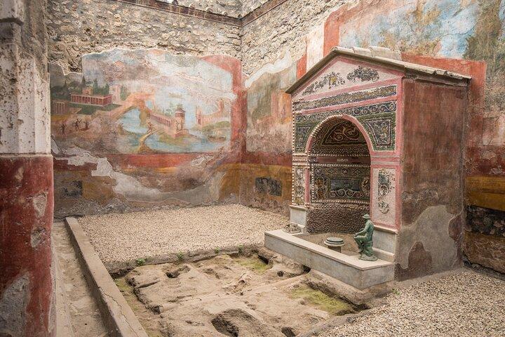 Desde Nápoles : Excursión en tierra a Pompeya para cruceros con guía