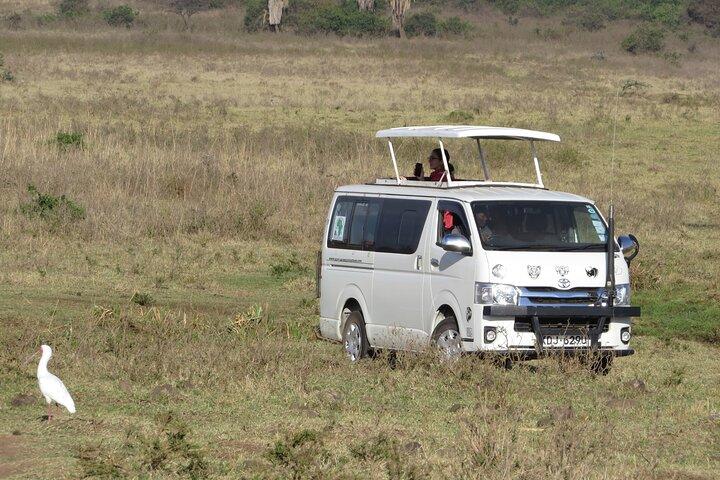 Mombasa & Diani: Grupp dagsturer till Tsavo Park