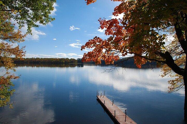 Algonquin Provincial Park Small-Group Day Tour from Toronto