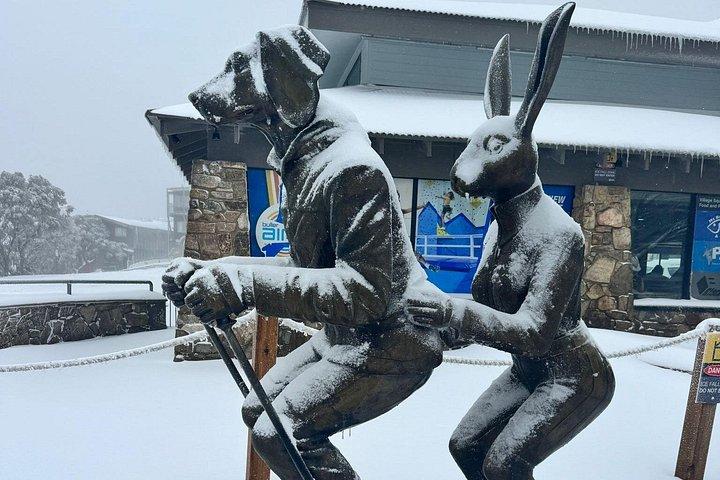 Melbourne: Private Mount Buller Snow and Ski Tours