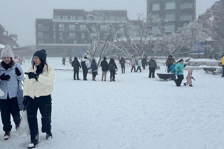 Melbourne: Private Mount Buller Snow and Ski Tours