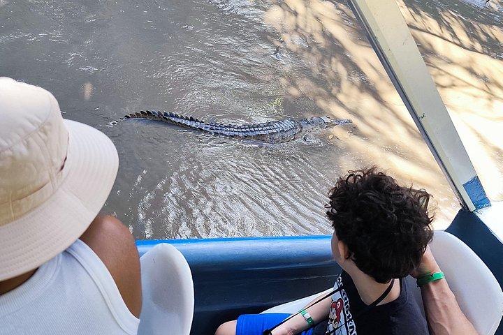 Palo Verde National Park Tour