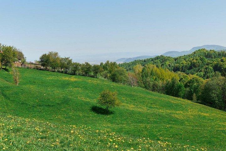 Three Counties off‑road day trip from Bucharest