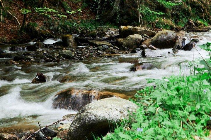 Three Counties off‑road day trip from Bucharest