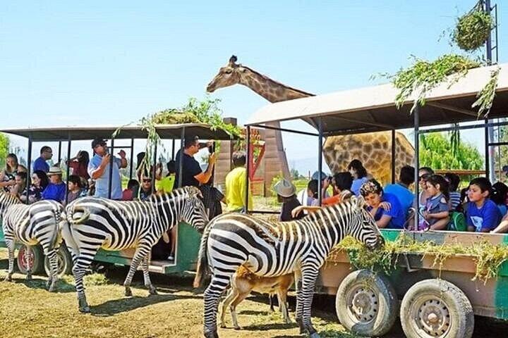 Safari Park Full Day Experience