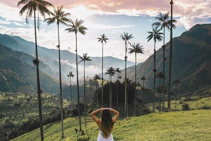 Circuit de 2 jours dans la région du café Salento Cocora Hot Springs