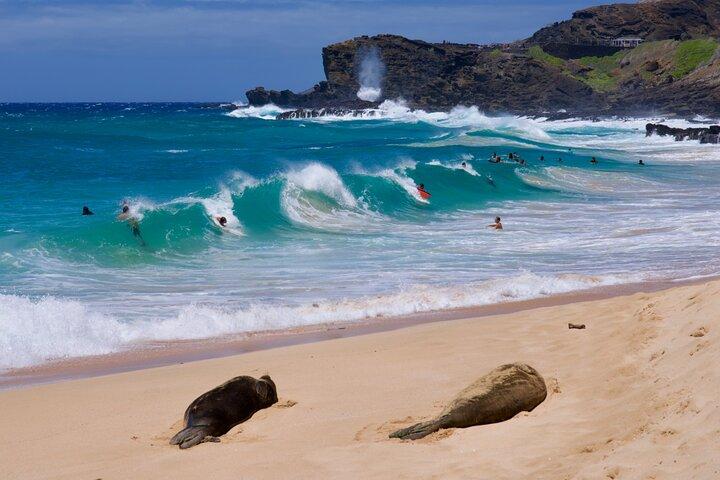 Privétour Oahu aanpasbaar