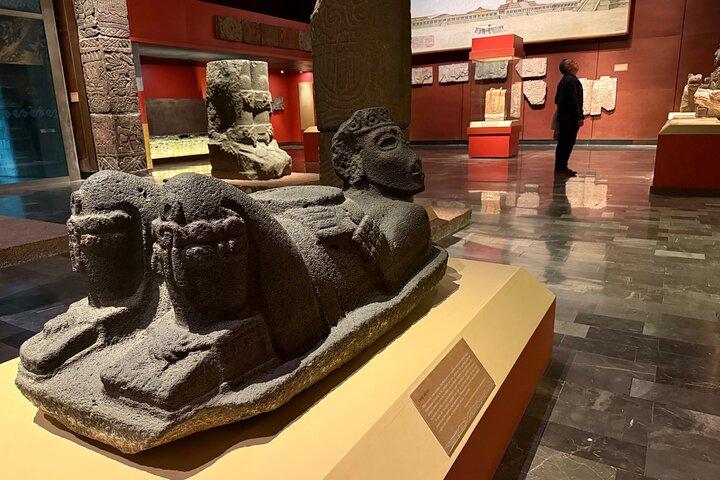 Antropologisk Museum og Chapultepec Slot VIP-rundvisning