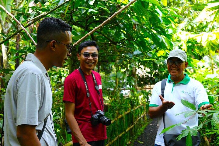 Lo más destacado de Bali Tour