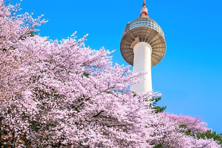 Flexible Private Guided Tour in Seoul (Optional Incheon Layover)