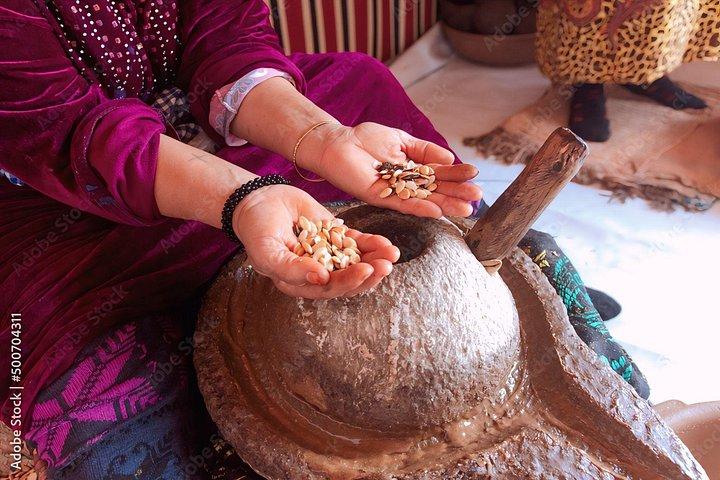 Ourika valley & Atlas mountains day trip from Marrakech