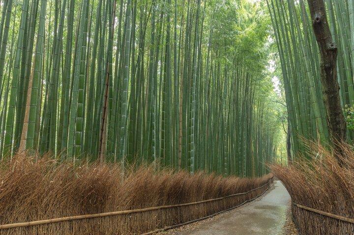 Tour de destaques privados de Kyoto (customizable)
