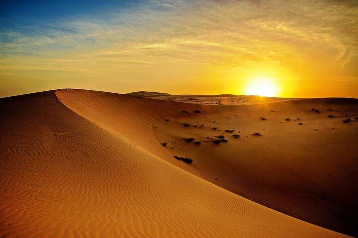 Entdecken Sie den Nervenkitzel des Wüstenreitens ab Doha