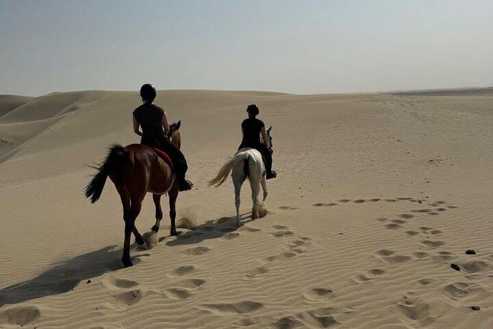 Entdecken Sie den Nervenkitzel des Wüstenreitens ab Doha