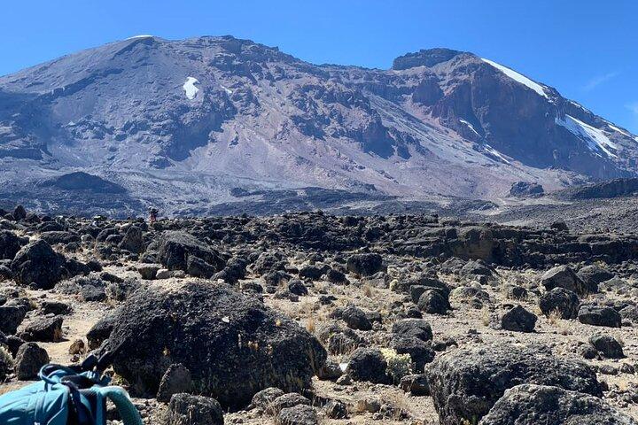 8 dages Lemosho Route Kilimanjaro klatre med ekspertguider