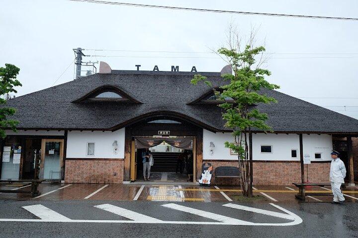 Wakayama Söt katt och Outlet Shopping Day Tour