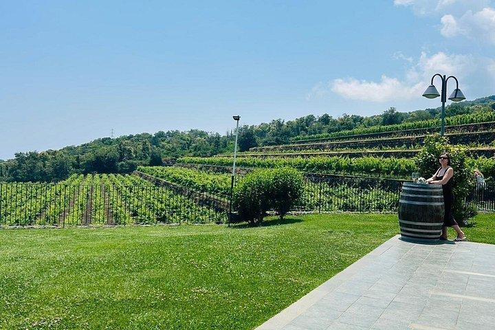 エトナ火山ツアー、ワインテイスティング、ワイナリーでのランチ、送迎