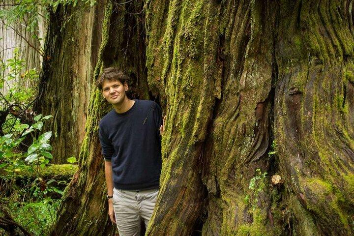 Tour guiado de 7 días en grupos pequeños por la costa oeste de la isla de Vancouver