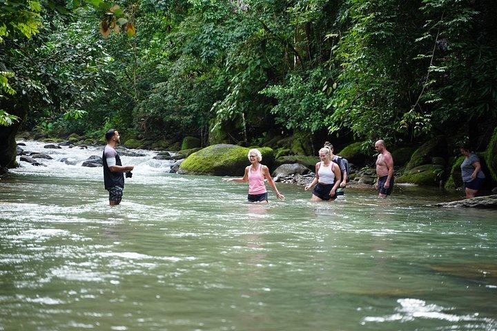 Paddle Boarding & Waterfall Full Day Tour