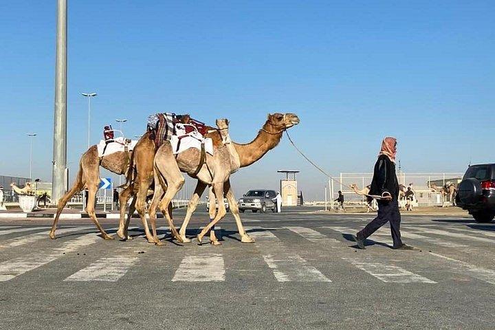 Private North and West Heritage Tour from Doha