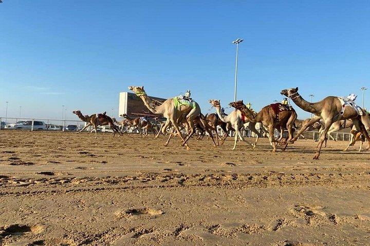 Private North and West Heritage Tour from Doha