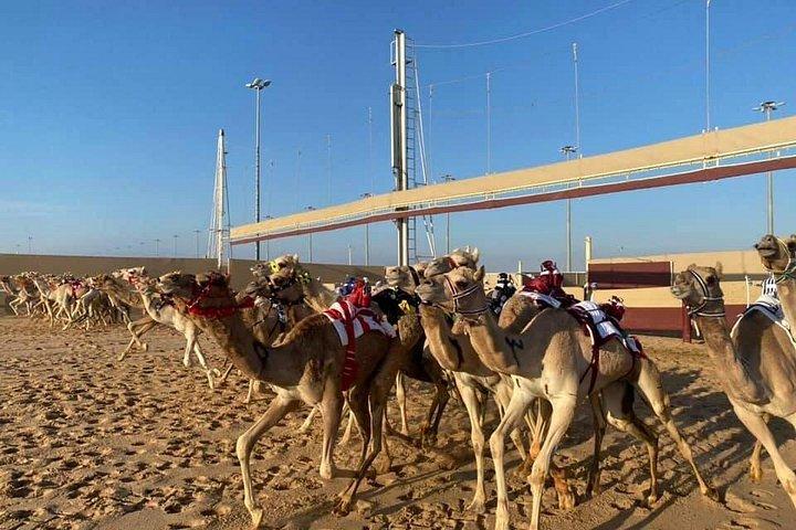 Private North and West Heritage Tour from Doha