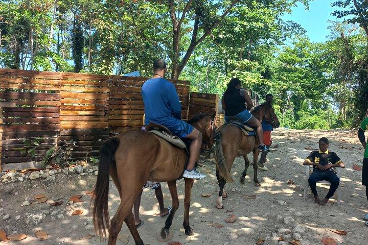 Cavalos de volta em Ocho Rios