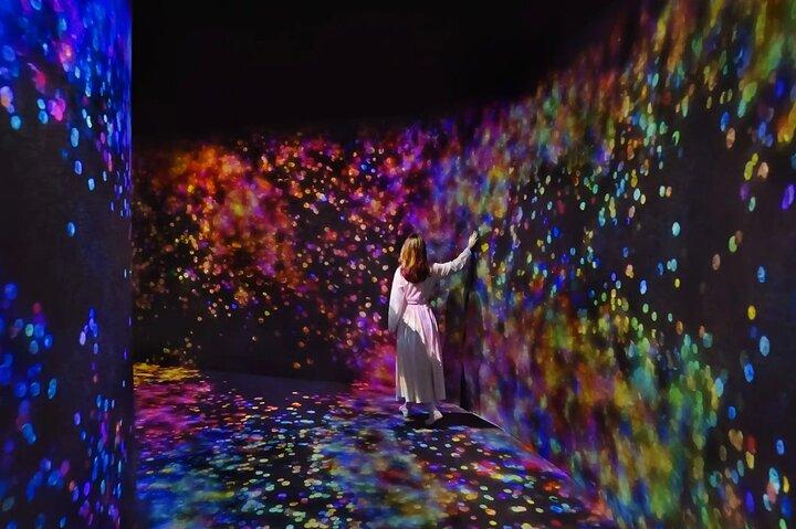 Visite privée de la ville d'Abu Dhabi avec TeamLab Phénomènes Abu Dhabi