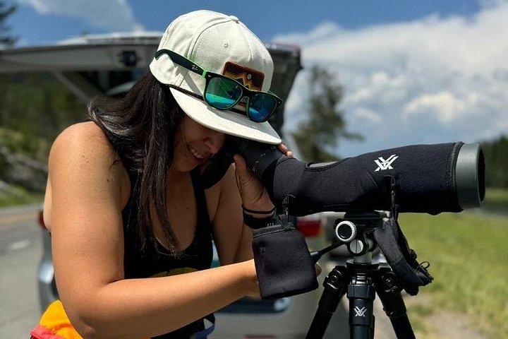 Yellowstone Lower Loop Tour | Wilde dieren en warmwaterbronnen | Privé