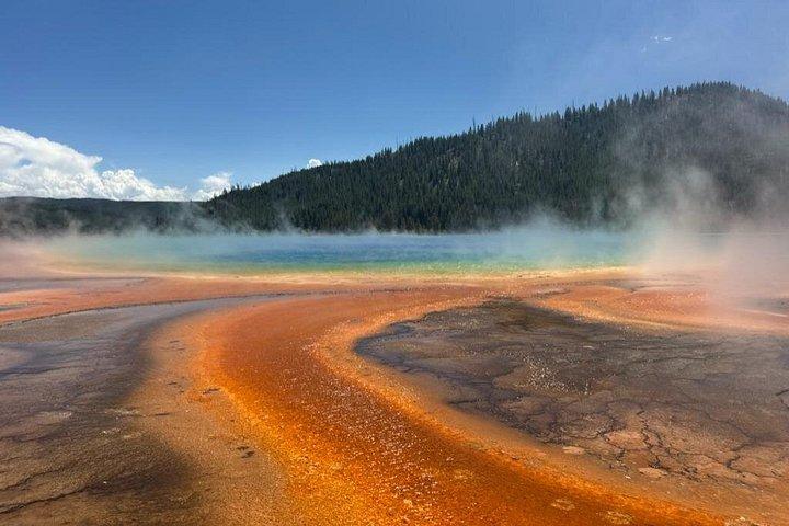 Yellowstone Lower Loop Tour | Wilde dieren en warmwaterbronnen | Privé
