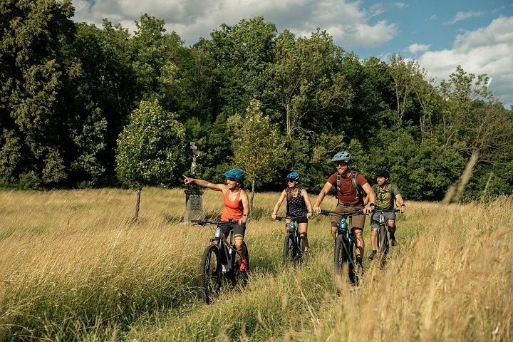 プラハからのE-Bike 1日旅行：強大なKarlstejn Castle