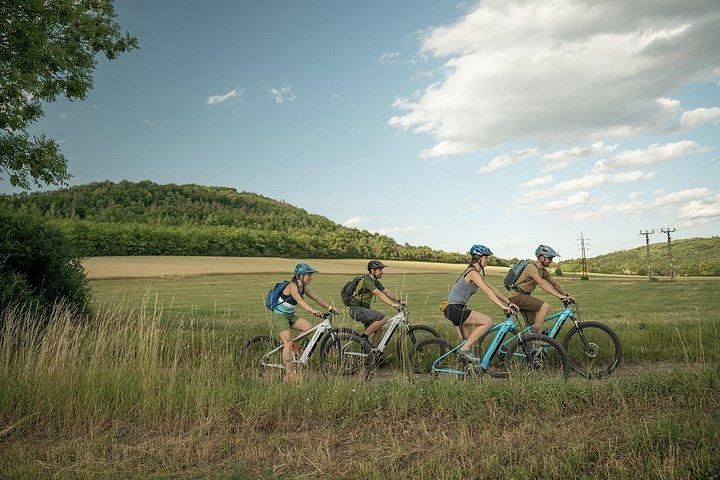プラハからのE-Bike 1日旅行:強大なKarlstejn Castle