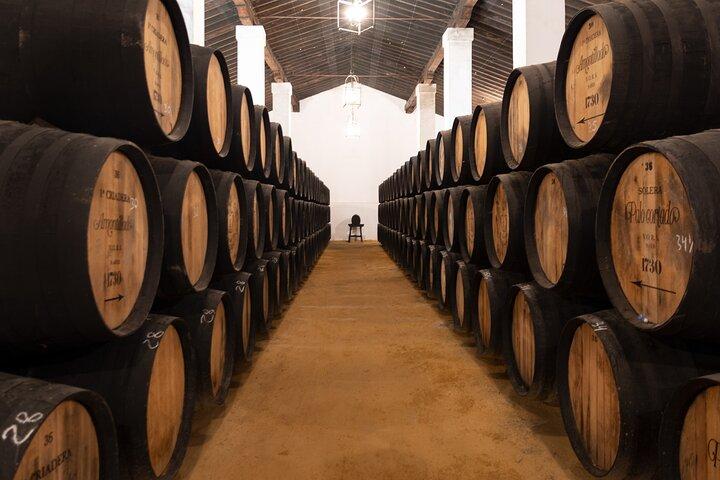 Visita guiada a uma vinícola com degustação de vinhos em Jerez.