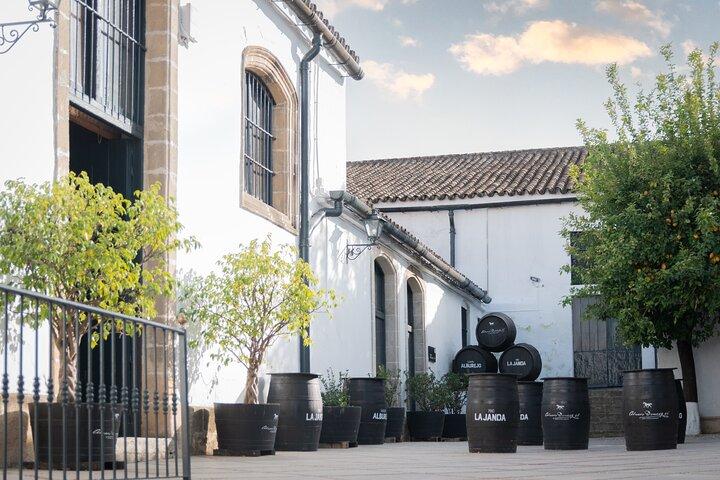 Visita guiada a uma vinícola com degustação de vinhos em Jerez.
