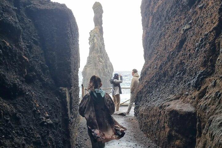 天然プールと魅惑の森の滝を巡るシュールなウエストツアー