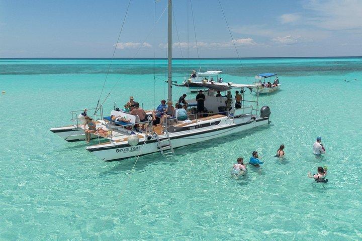 高級カタマランで4時間のコズメルタートルサンクチュアリ体験