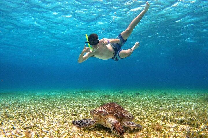 高級カタマランで4時間のコズメルタートルサンクチュアリ体験