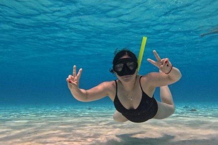 高級カタマランで4時間のコズメルタートルサンクチュアリ体験