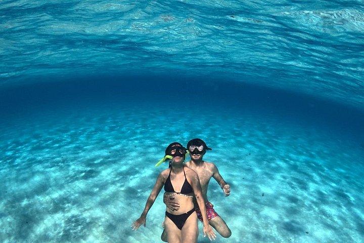 高級カタマランで4時間のコズメルタートルサンクチュアリ体験